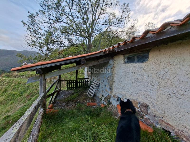 Foto 0fe140e9-7f2c-4a51-bdb4-535982141eb3. Bauernhof in lugar beroñes 8c in Piloña