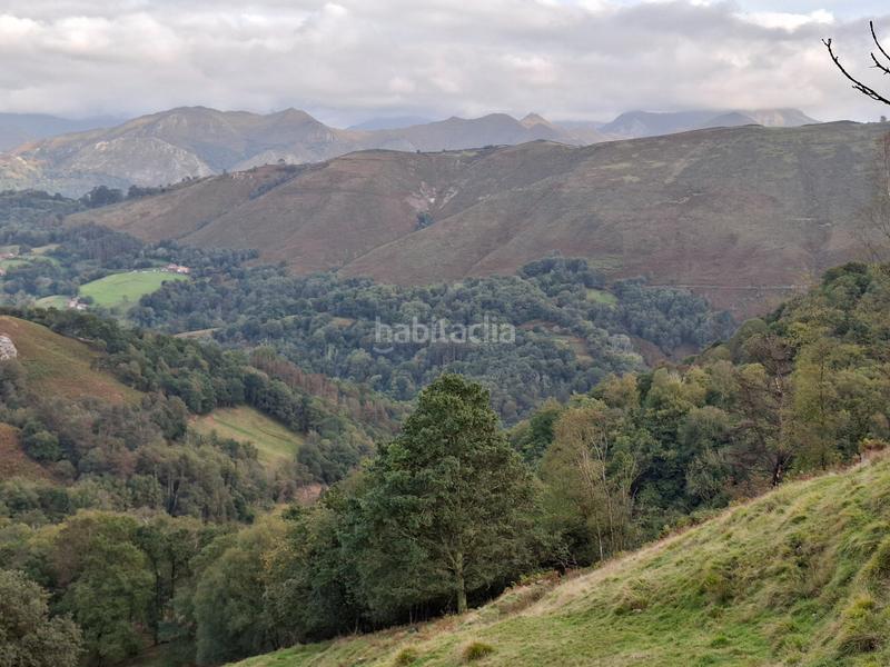 Foto 3b44a826-51c7-4cd9-875a-44eb7fb45a5c. Bauernhof in lugar beroñes 8c in Piloña