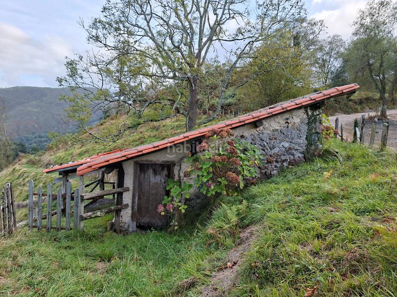 Foto 624bc8a8-775b-45a6-888a-f289b38a1d02. Bauernhof in lugar beroñes 8c in Piloña