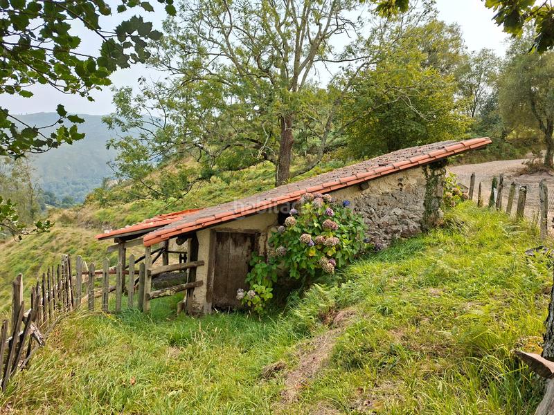 Foto 84010b65-49d3-4c9e-b625-bcdb851f1bf0. Bauernhof in lugar beroñes 8c in Piloña