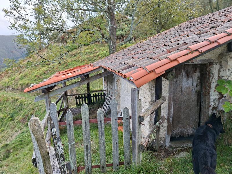 Foto 9e984d3c-f621-4e78-a328-eb29da5f1980. Bauernhof in lugar beroñes 8c in Piloña