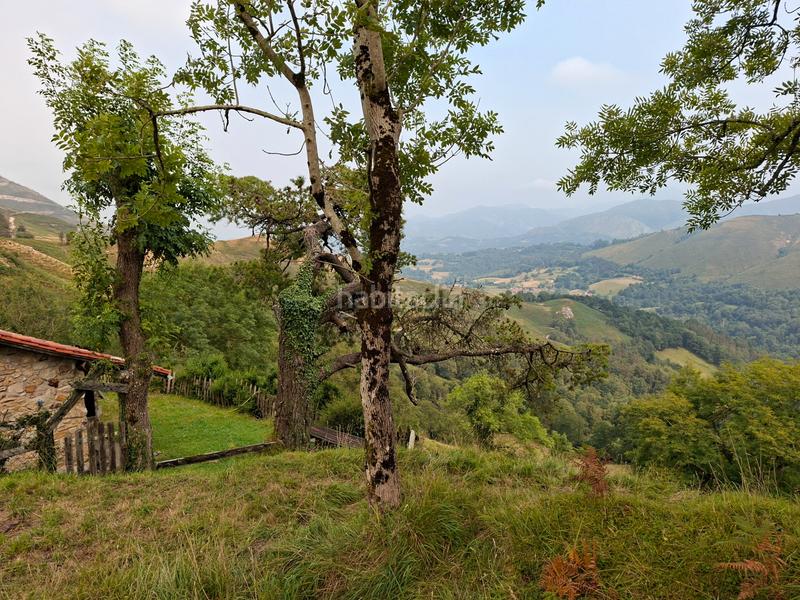 Foto a17d0e24-f94a-416c-ac3d-34e812fb344b. Bauernhof in lugar beroñes 8c in Piloña