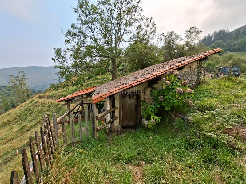 Foto b1bcb2f1-1212-4cbb-8e80-a2bc69c6a7d6. Bauernhof in lugar beroñes 8c in Piloña