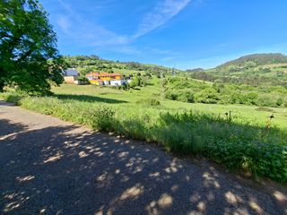 Terreny residencial a Illas. Finca edificable en la peral, concejo de illas, asturias