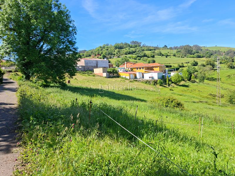 Foto eef0a96e-7f12-4f14-a3b5-a82ffe038919. Terreny residencial a Illas