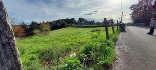 Terreny residencial a Pillarno. Finca edificable de 9.000 m2 en peñarey, castrillón, asturias