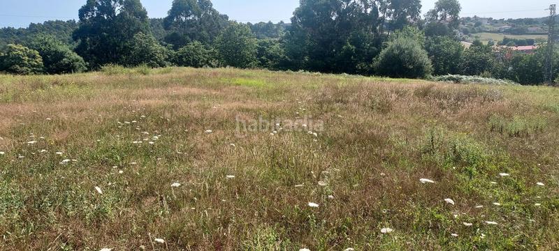 Foto 3e423ecc-23bc-4183-82bf-bc719f76401d. Terreny residencial a Piedras Blancas Castrillón