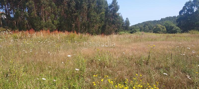 Foto 9d36d192-3b34-4b3b-80a3-35b32e3a4f1b. Terreny residencial a Piedras Blancas Castrillón