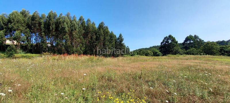 Foto f6d74916-655d-43e9-b7c3-34512b7ba5ae. Terreny residencial a Piedras Blancas Castrillón