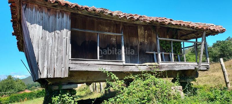 Foto c8933c8c-2959-4697-a2dd-bfd47a9ad4bc. Casa adossada a lugar de las tablas 16 a Pravia