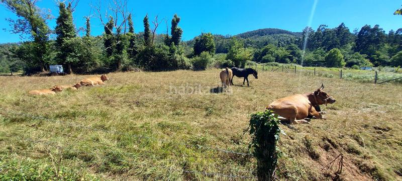 Foto cce98e3c-b7f9-4bdd-b4e0-d6614f704a6a. Casa adossada a lugar de las tablas 16 a Pravia