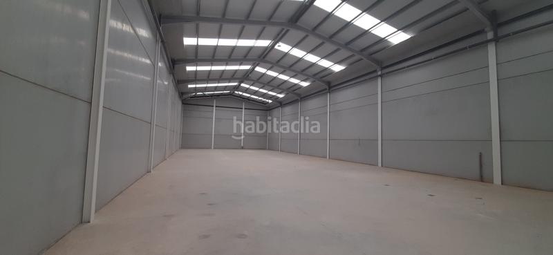 Foto 02f650ab-5b1e-46f6-bdec-d8417a55273e. Rent industrial building in calicanto 16 in Polígono Mas del Jutge Torrent