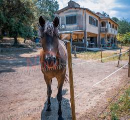 Country house in Diseminado diseminados 5004