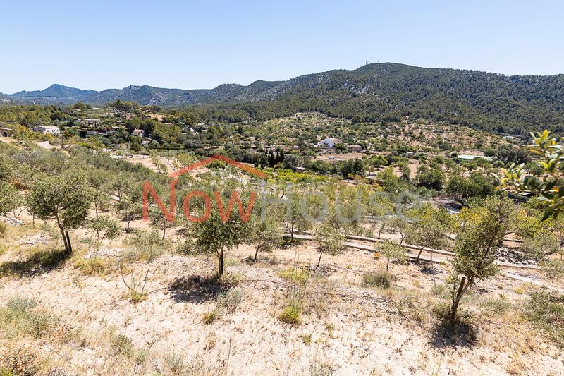 Foto 62acca92-80ec-4ef4-b5ab-108065c89484. Chalet en ma-1015 19 en Calvià poble Calvià