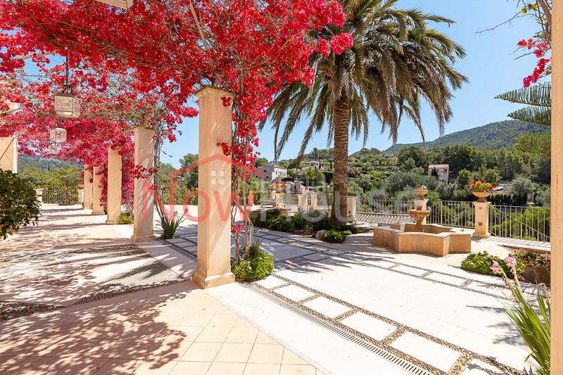 Foto d2c1d031-6c42-4b2f-984d-75287fa20abe. Chalet en ma-1015 19 en Calvià poble Calvià