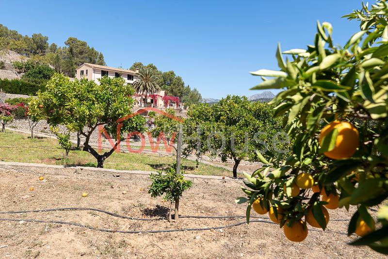 Foto 006fb801-0dc0-481b-ade5-4043ac34d331. Chalet in ma-1015 19 in Calvià poble Calvià