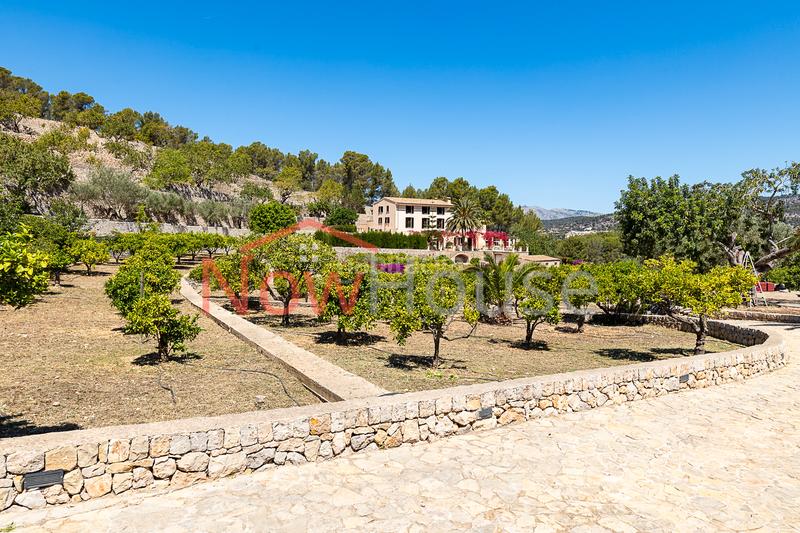 Foto 22687212-3473-4d04-b5ef-9a631f640345. Chalet in ma-1015 19 in Calvià poble Calvià