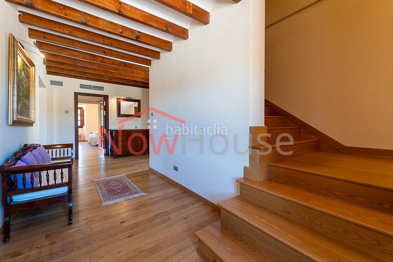 Foto 74b69ca2-c982-4fbf-a7da-c3ad2508e65d. Chalet in ma-1015 19 in Calvià poble Calvià