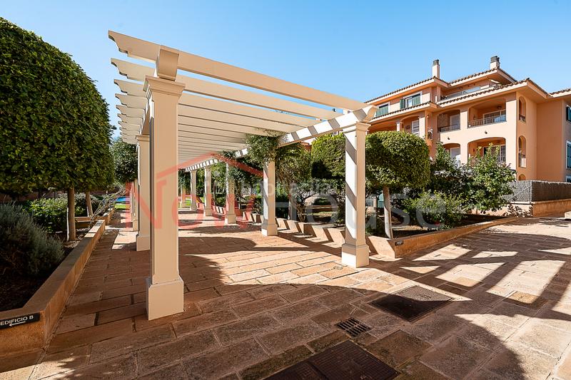 Foto 64926f91-c4da-4f14-898c-ab82b70bb9d5. Ground floor with heating parking pool in Maioris-Puig de Ros Llucmajor