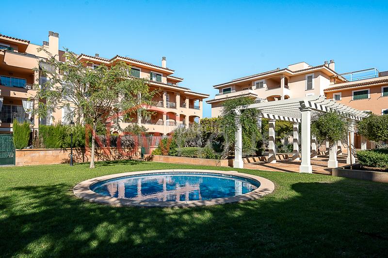 Foto 6a42c848-2df4-4437-9de0-b5c569a4dcda. Ground floor with heating parking pool in Maioris-Puig de Ros Llucmajor