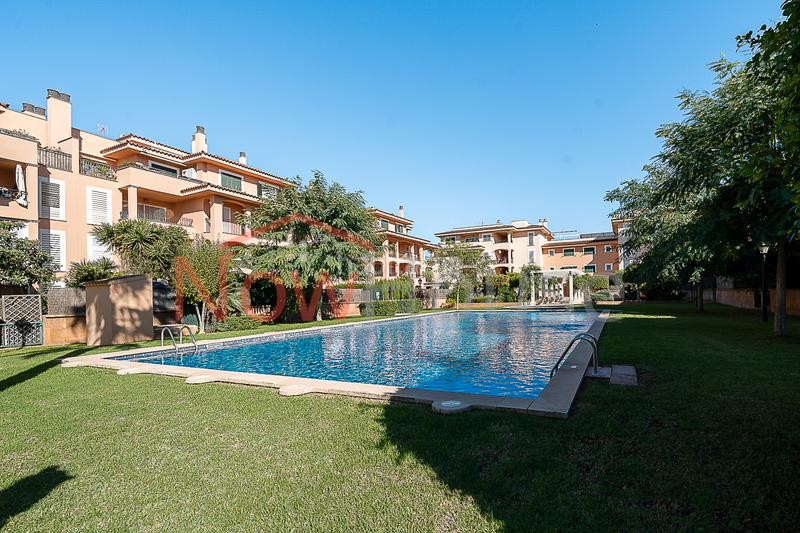 Foto 827af739-202f-4bfc-a492-907caf019162. Ground floor with heating parking pool in Maioris-Puig de Ros Llucmajor