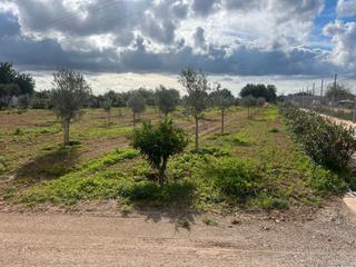 Finca rústica a N/a