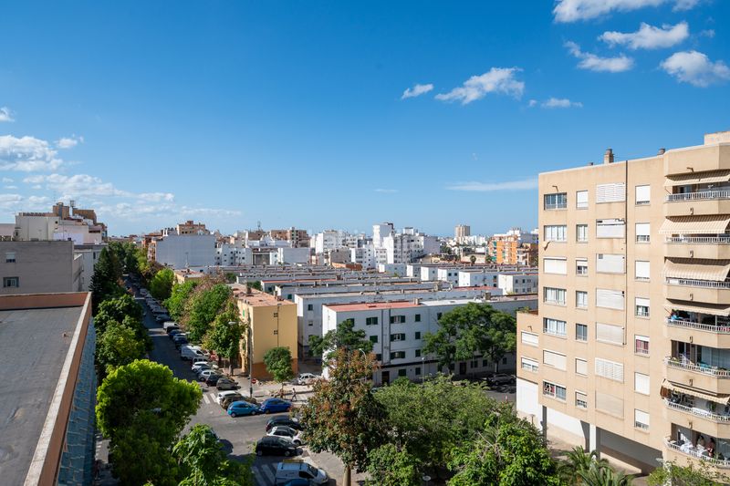 Foto 0d68f554-c0ae-4fa5-846c-ee95481f5760. Pis a carrer de cotlliure 26a a Cas Capiscol Palma de Mallorca