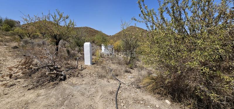 Foto 8fe979b9-454f-459b-8451-12fc04873326. Mas dans el pocico dans Lubrín