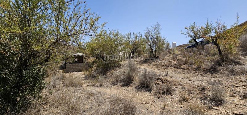 Foto c6b7c095-2c33-49f3-bf68-17aba4061361. Mas dans el pocico dans Lubrín