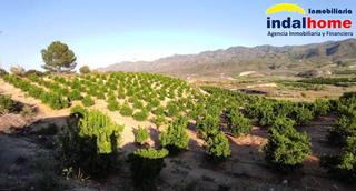 Finca rústica a Los collados. Finca rustica en alfaix