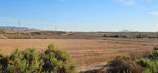 Finca rústica a Fuensalida. Terreno con almacen en vera