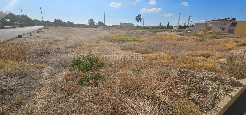 Foto 34a7ac14-6451-4c0c-bca6-6a51c0a9226e. Fondo rustico in rambla in Vera ciudad Vera