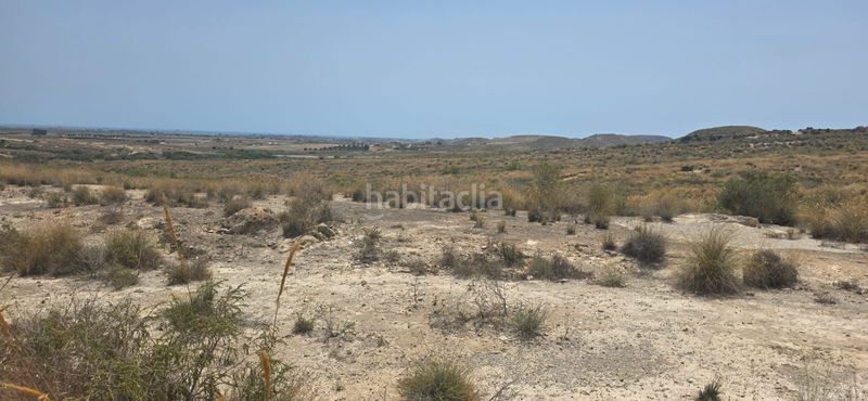 Foto 80cbb360-af96-49ca-8813-fc210e8489dc. Finca rústica a calar alto a Golf Valle Este Vera
