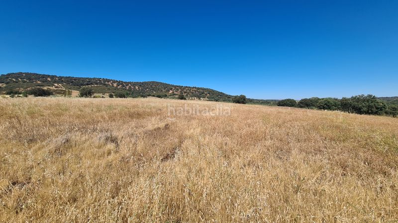 Foto b8bed864-f590-47cf-9eaf-e41552bd236b. Finca rústica a Malcocinado
