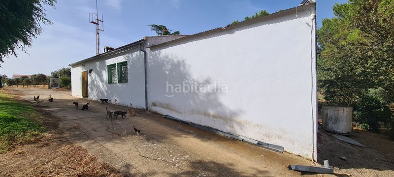 Foto 228fb658-3450-44bb-908d-8314698eba98. Finca rústica a Azuaga