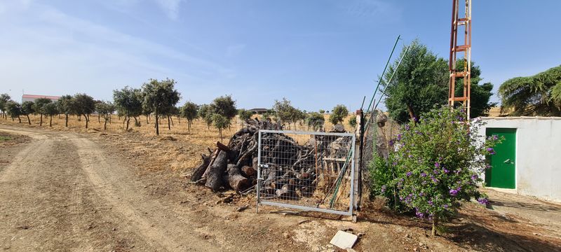 Foto 881d51e3-f835-4ac1-a767-d479303926d4. Finca rústica a Azuaga