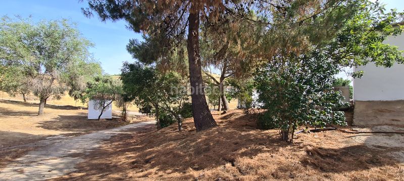 Foto 9fd99cf5-7328-4799-92a0-54ae3dbd20c0. Finca rústica a Azuaga