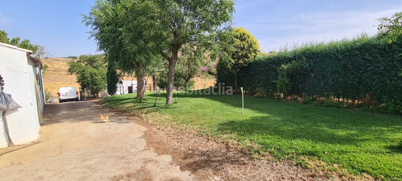 Foto ae84b976-0b58-4c77-8964-08fdb3496987. Finca rústica a Azuaga