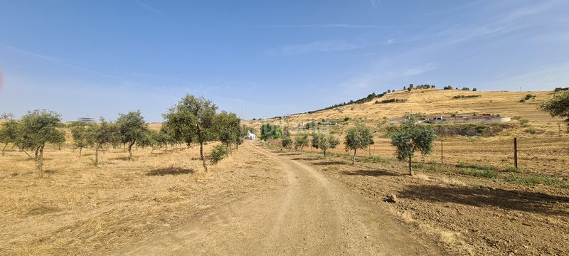 Foto d6779e2e-d4d1-458a-8a94-722195440906. Finca rústica a Azuaga