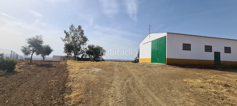 Foto da134389-45d5-4693-9a95-3db1de56e7b4. Finca rústica a Azuaga