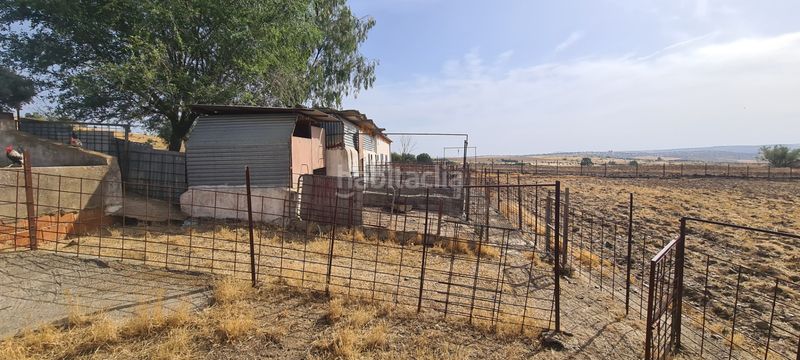 Foto f67fcffe-8f31-4024-8148-88e2da055fa8. Finca rústica a Azuaga
