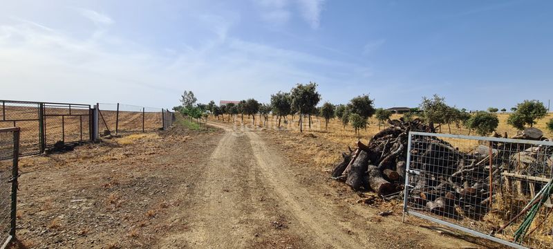 Foto fa00c5dc-350c-470c-b34e-8ec0a732be84. Finca rústica a Azuaga