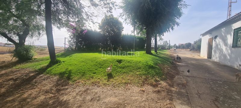 Foto fff81e3e-5a94-48d2-9ac2-8a88c00b2dc7. Finca rústica a Azuaga