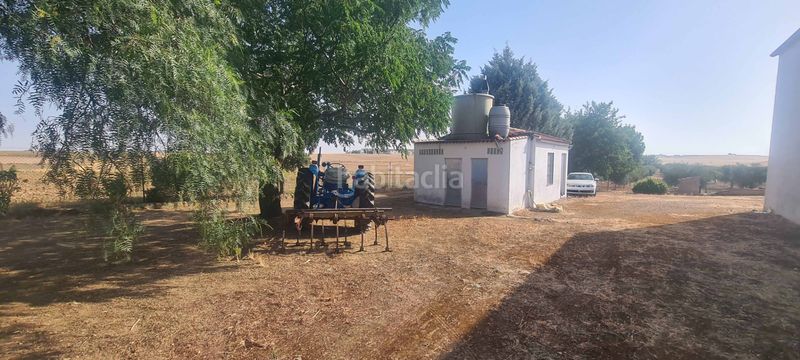 Foto 1d9f08ba-c6a1-4423-ad42-ebdfe8aeb11d. Finca rústica a Azuaga