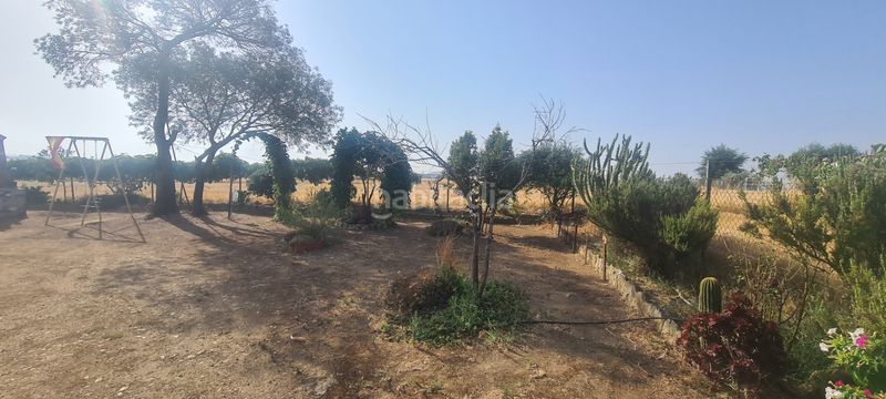 Foto 470c86c8-846b-4dd3-8922-72a1dc6fa2c6. Finca rústica a Azuaga
