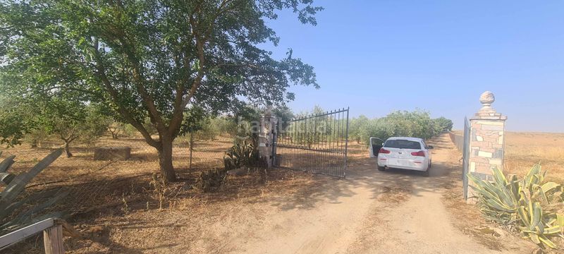 Foto 4e3d70b9-e16e-4c03-861c-8d46bf2bf234. Finca rústica a Azuaga