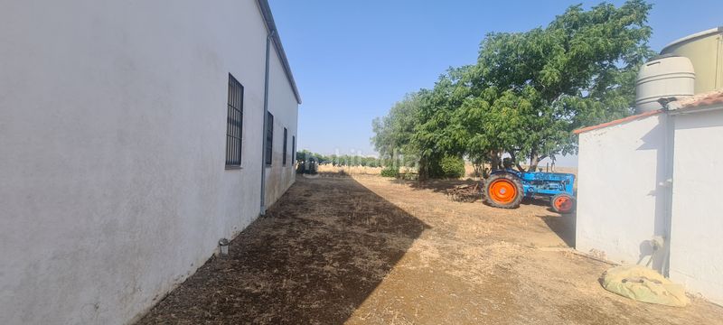 Foto 7c02a75c-4087-4ef8-8ec2-08f55dba9ed3. Finca rústica a Azuaga