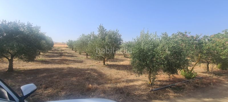 Foto 8389c312-9eb7-4245-8682-84fa9830f27d. Finca rústica a Azuaga