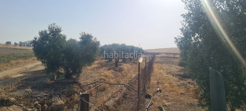 Foto bbfa5c46-cf69-4641-ad38-3baa1c1e9811. Finca rústica a Azuaga