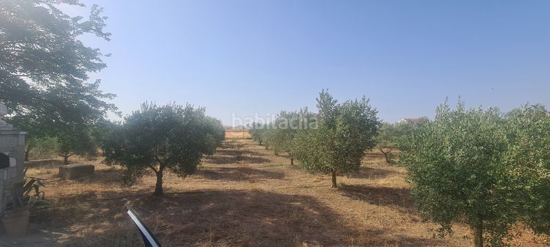 Foto bd7cf96f-36b9-4259-80c8-38a63892da61. Finca rústica a Azuaga